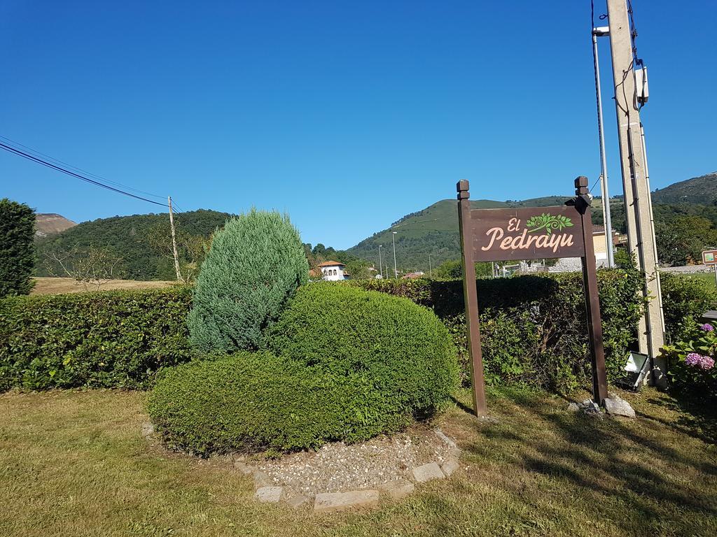 Apartamentos El Pedrayu Onís Esterno foto
